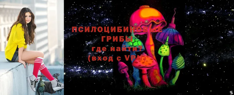 маркетплейс официальный сайт  Гудермес  Псилоцибиновые грибы Magic Shrooms  где можно купить наркотик  hydra рабочий сайт 